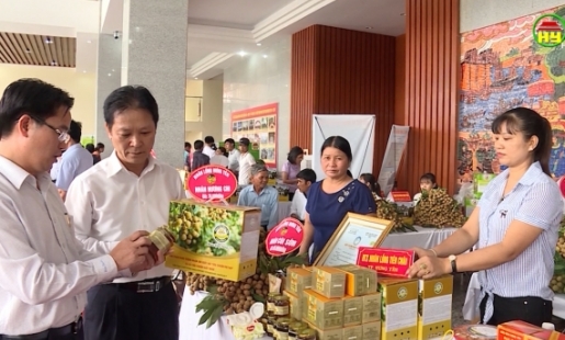 Đánh giá tiêu thụ vụ nhãn năm 2020