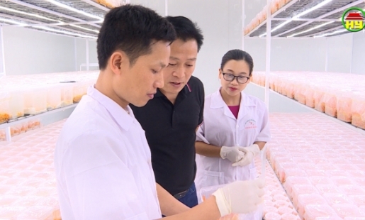 Những nông dân 4.0 trong phong trào thi đua yêu nước