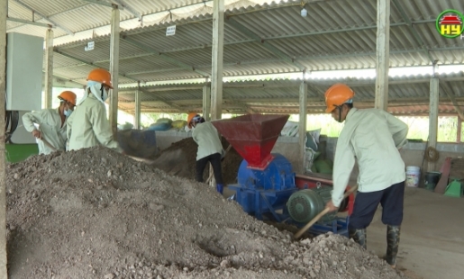 Phân bón hữu cơ từ chất thải chăn nuôi 