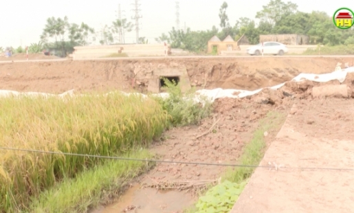 Thi công đường làm ảnh hưởng đến hệ thống tưới sản xuất nông nghiệp