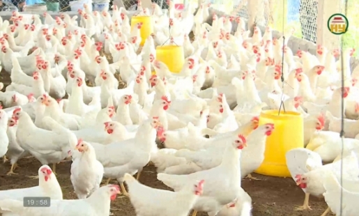 Yêu nước gắn với thi đua sản xuất kinh doanh giỏi