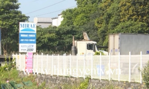 Khai sai số tiền thuế thu nhập, Công ty Mirae bị xử phạt hành chính