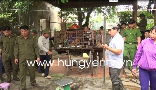 Vụ cháu bé 7 tuổi bị chó cắn tử vong: Đưa đàn chó về Công an huyện Kim Động