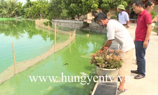Ân Thi: Cần làm rõ nguyên nhân gây ô nhiễm hồ Cù Tu, xã Xuân Trúc