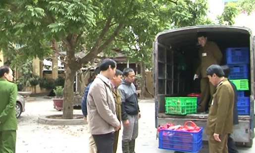 Bắt giữ và tiêu hủy gần 400 kg mỡ lợn không rõ nguồn gốc tại Văn Lâm
