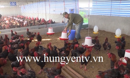 Hưng Yên chú trọng phát triển sản phẩm OCOP