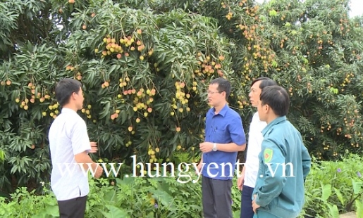 Hưng Yên: Sẽ có 30 sản phẩm OCOP được đánh giá đạt 3 sao năm 2020