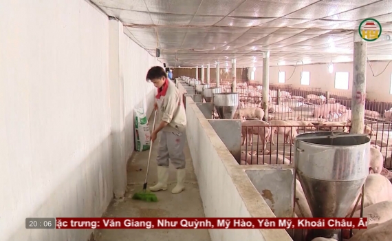 Ngăn chặn, khống chế bệnh dịch tả lợn châu Phi