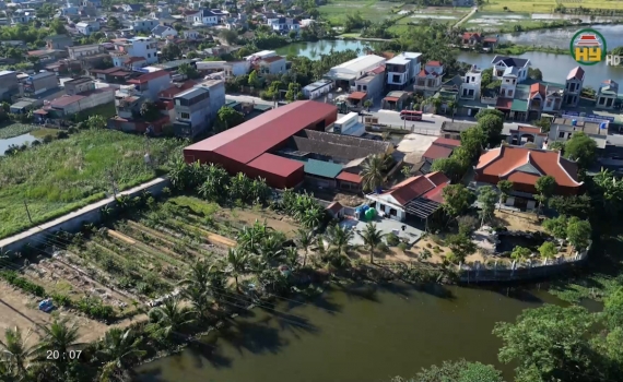 Cần sớm tiêu hủy lô chân gà đông lạnh gây ô nhiễm môi trường