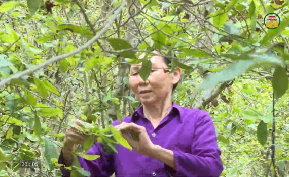 Chè Rét giữ hồn quê