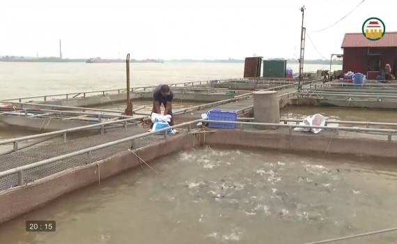 Sản lượng thủy sản quý I đạt trên 87 nghìn tấn