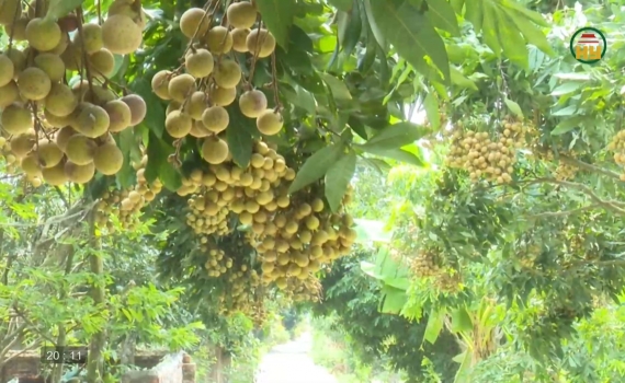 Đổi mới để n&acirc;ng gi&aacute; trị nh&atilde;n ở Hồng Quang