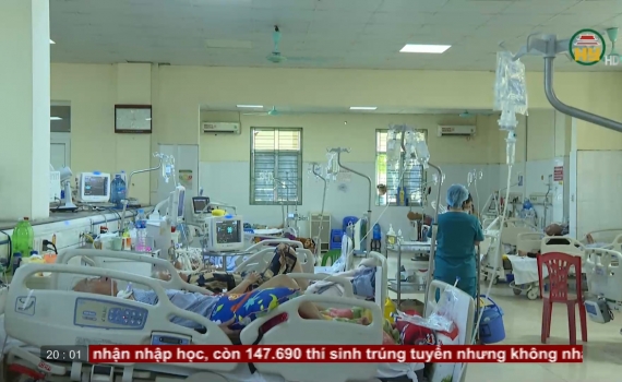 Ngộ độc nặng sau khi uống rượu ngâm củ ấu tàu