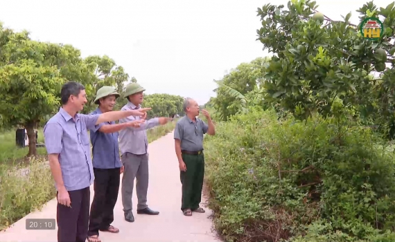 Xã Khoái Châu cơ bản giải phóng mặt bằng dự án sân golf