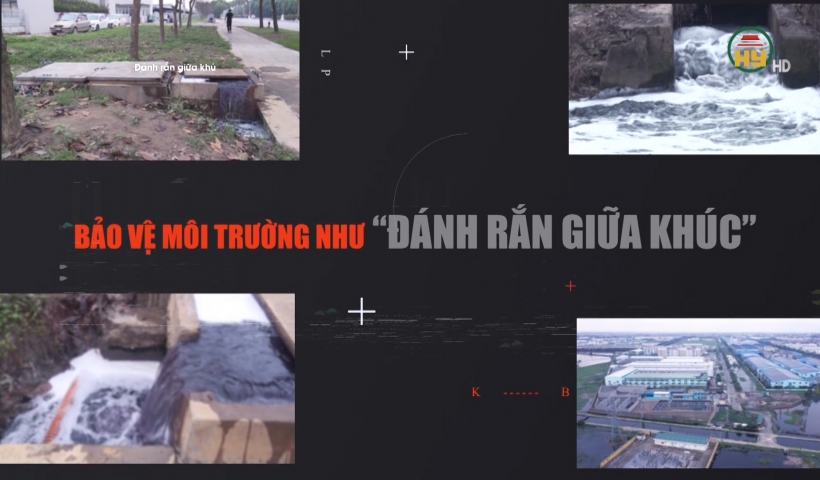 Bảo vệ môi trường như “ Đánh Rắn giữa khúc”