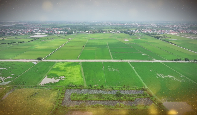 Đồng thuận từ cơ sở - Mở lối ph&aacute;t triển