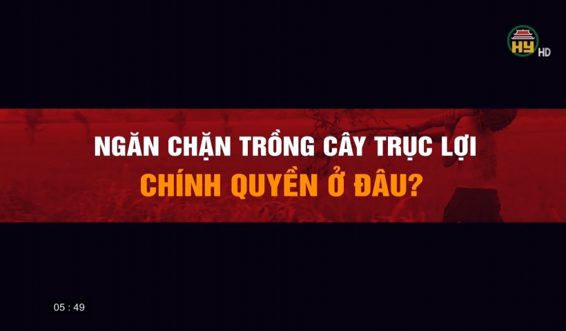 Trồng cây trục lợi - Chính quyền ở đâu?