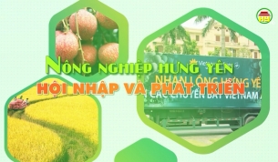 Nhìn lại sự đổi thay của nông thôn Hưng Yên sau 10 năm xây dựng nông thôn mới
